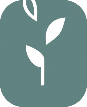Proyecto personal Proyecto personal