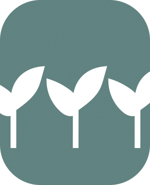 Talleres y actividades Talleres y actividades