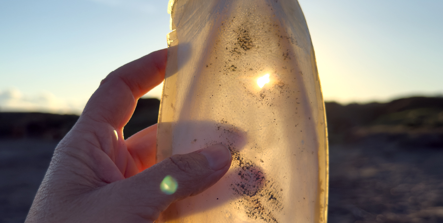 Sesiones individuales viaje profundo