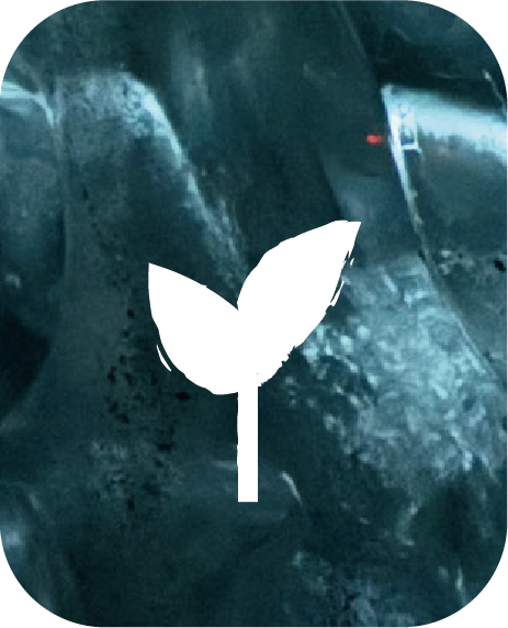 Sesiones individuales