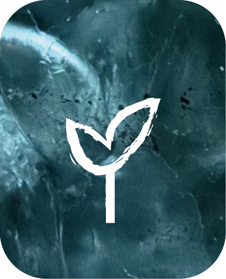 Dibujos personalizados