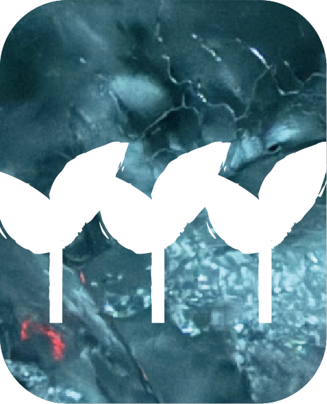 Talleres y actividades