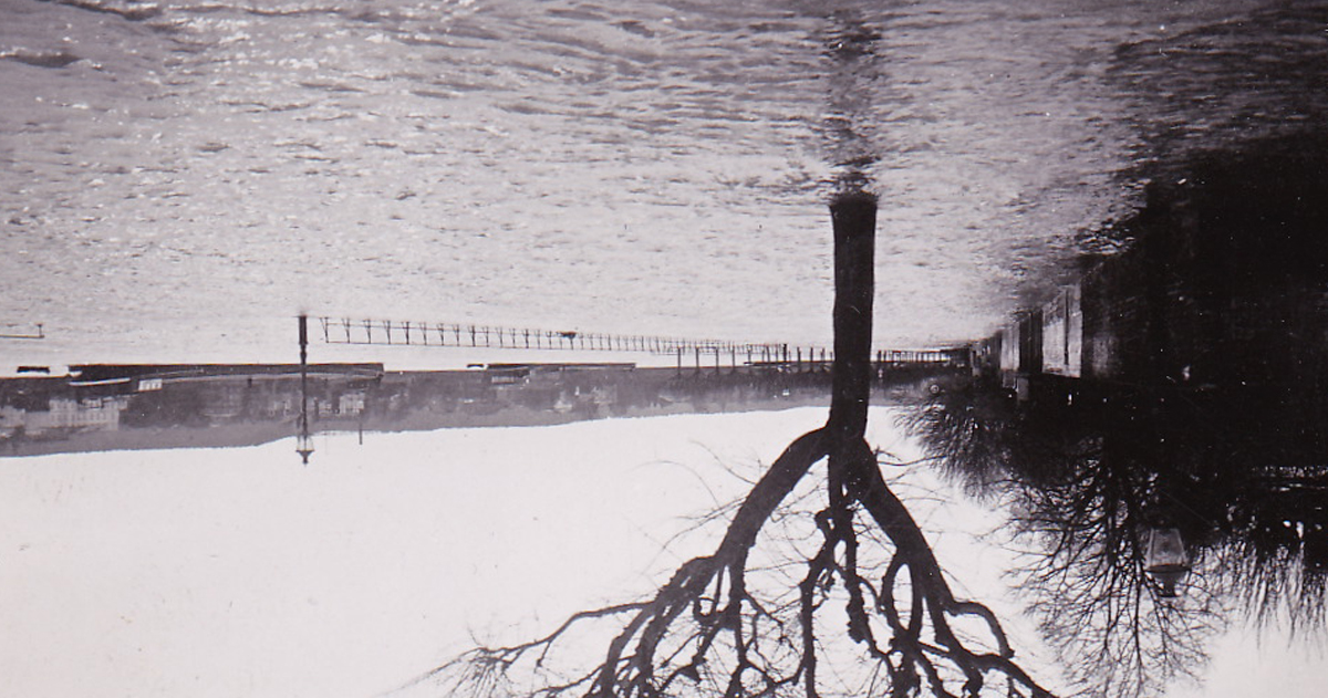 Que las hierbas y los árboles crecen ahí; descendiendo